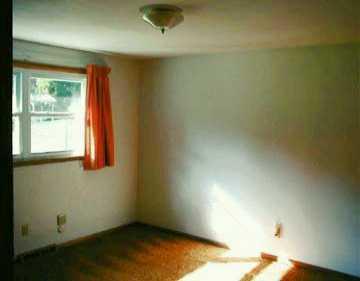 884 Wildlife Lodge Road Lower Burrell, PA 15068 - Photo 7 of 8 Gallery Image 7