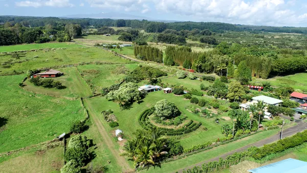 a view of a garden with a lake