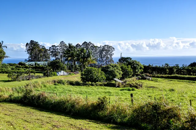 $992,000 | 29-3871 Kanna Road, Papaikou, HI 96781