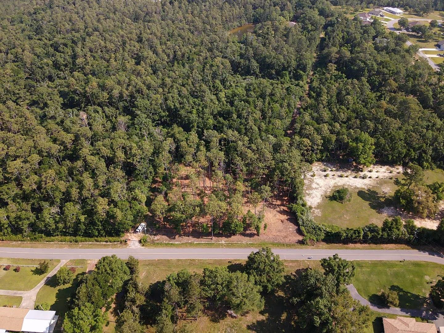 0 Antietam Road Lillian, AL 36549 - Photo 13 of 32