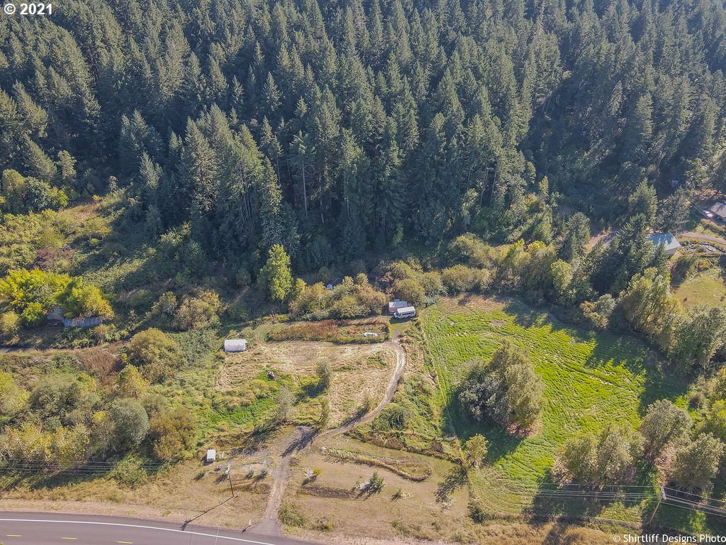a view of a yard with large trees