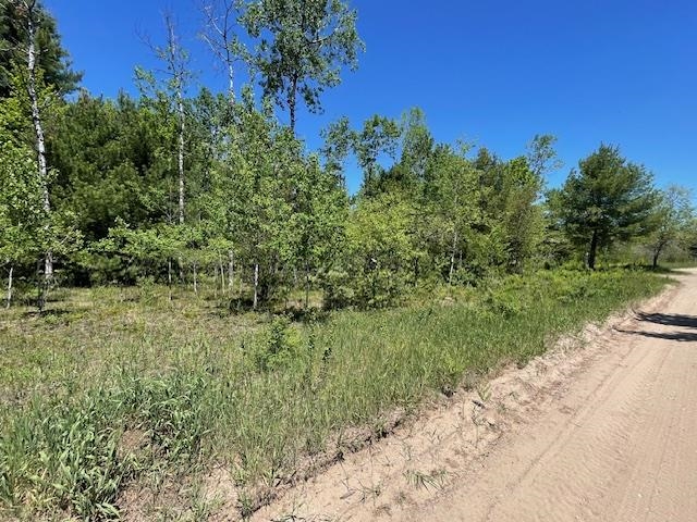 0 Aylsworth Road Beulah, MI 49617 - Photo 5 of 7