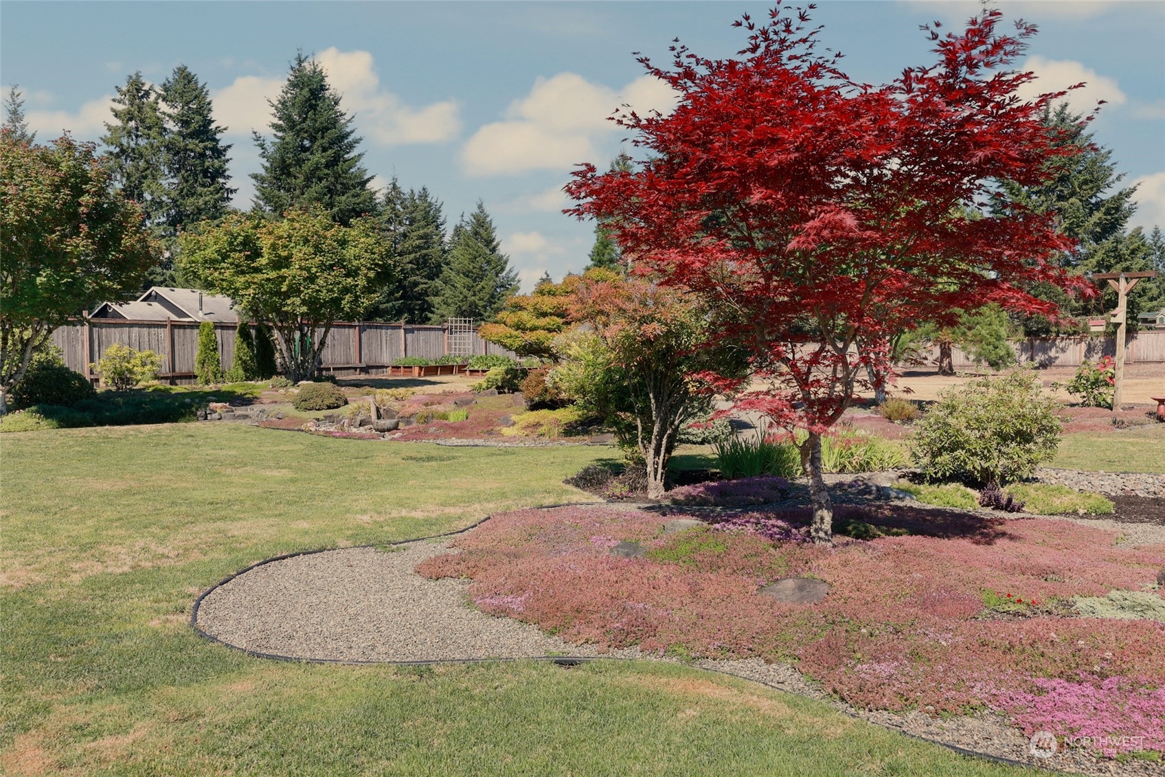 17330 Privet Court Southwest Rochester, WA 98579 - Photo 4 of 25 a view of yard with swimming pool and trees in the background