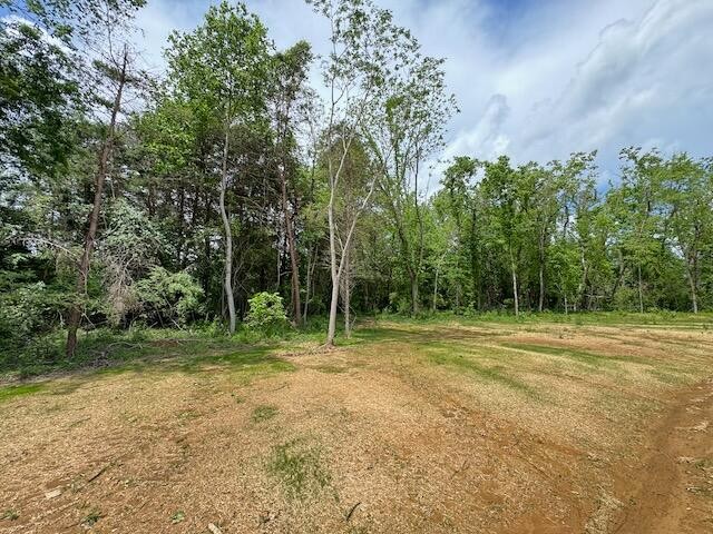 730 Old Cemetery Road Madisonville, TN 37354 - Photo 42 of 43 Gallery Image 42