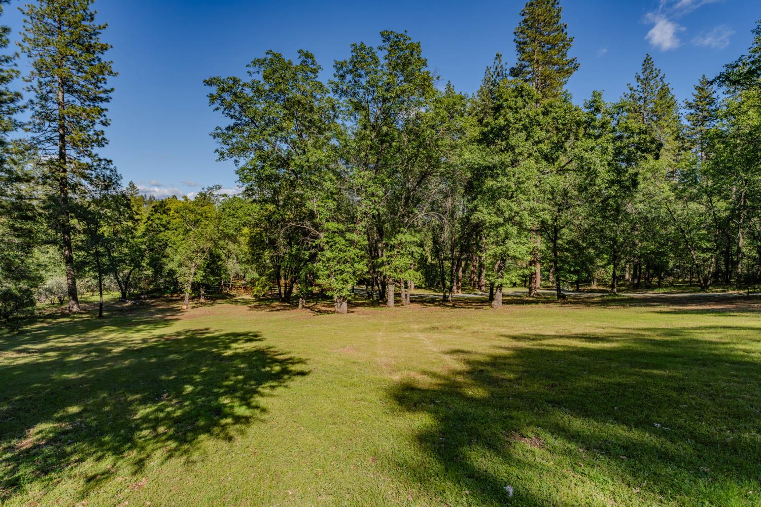 211 Fox Road Glencoe, CA 95232 - Photo 14 of 94