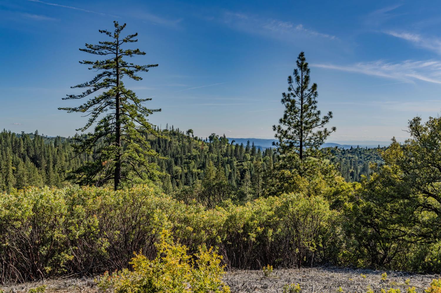 211 Fox Road Glencoe, CA 95232 - Photo 83 of 94