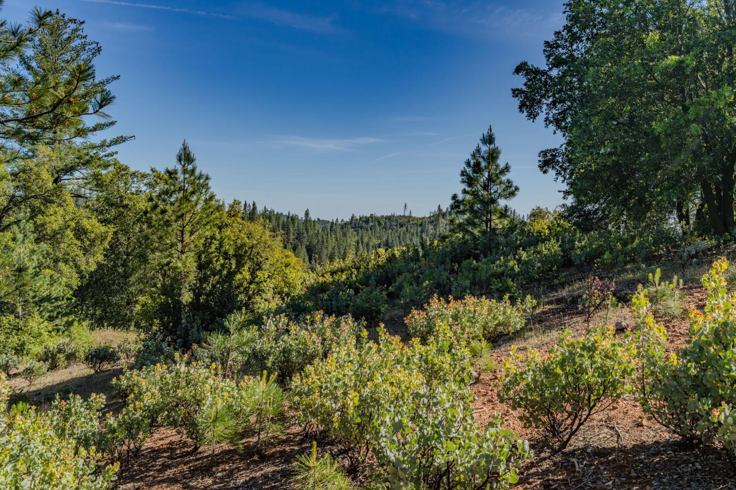 211 Fox Road Glencoe, CA 95232 - Photo 85 of 94
