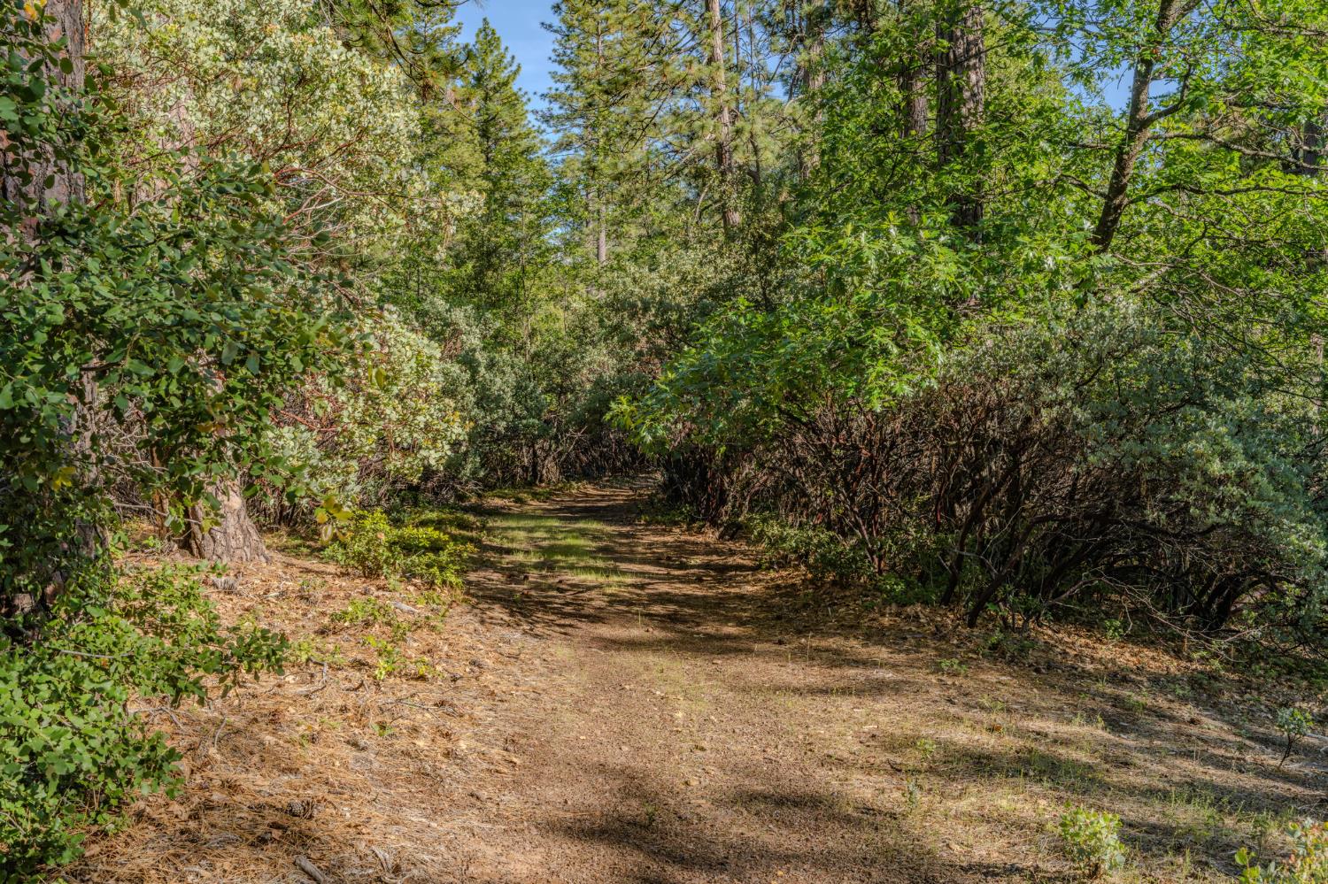 211 Fox Road Glencoe, CA 95232 - Photo 86 of 94