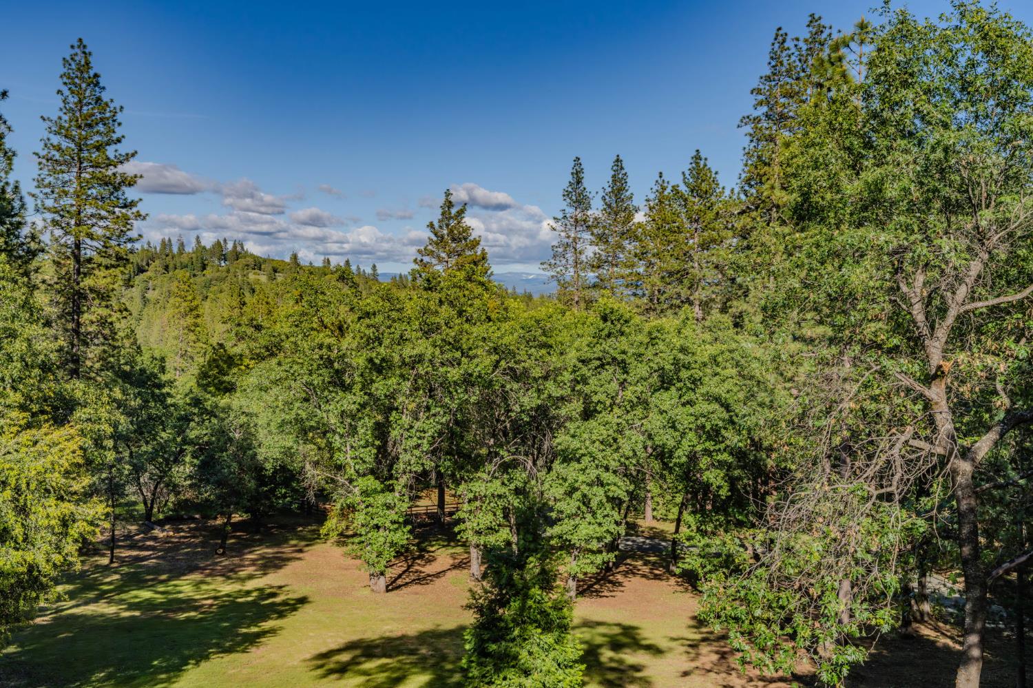 211 Fox Road Glencoe, CA 95232 - Photo 88 of 94