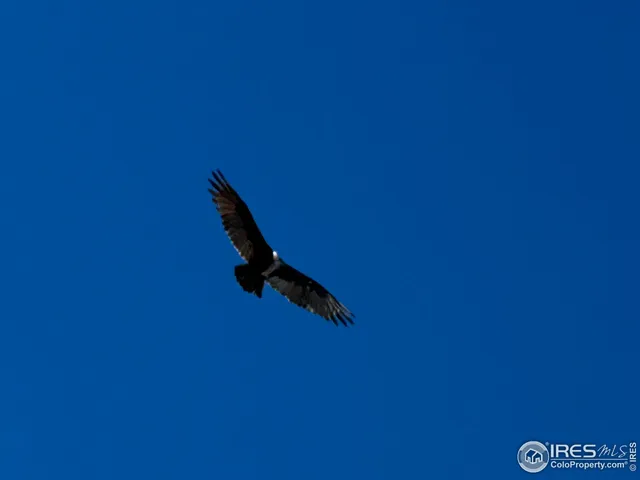 $675,000 | 3501 Raptor Ridge Lane, Laporte, CO 80535