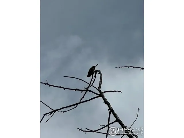 $675,000 | 3501 Raptor Ridge Lane, Laporte, CO 80535