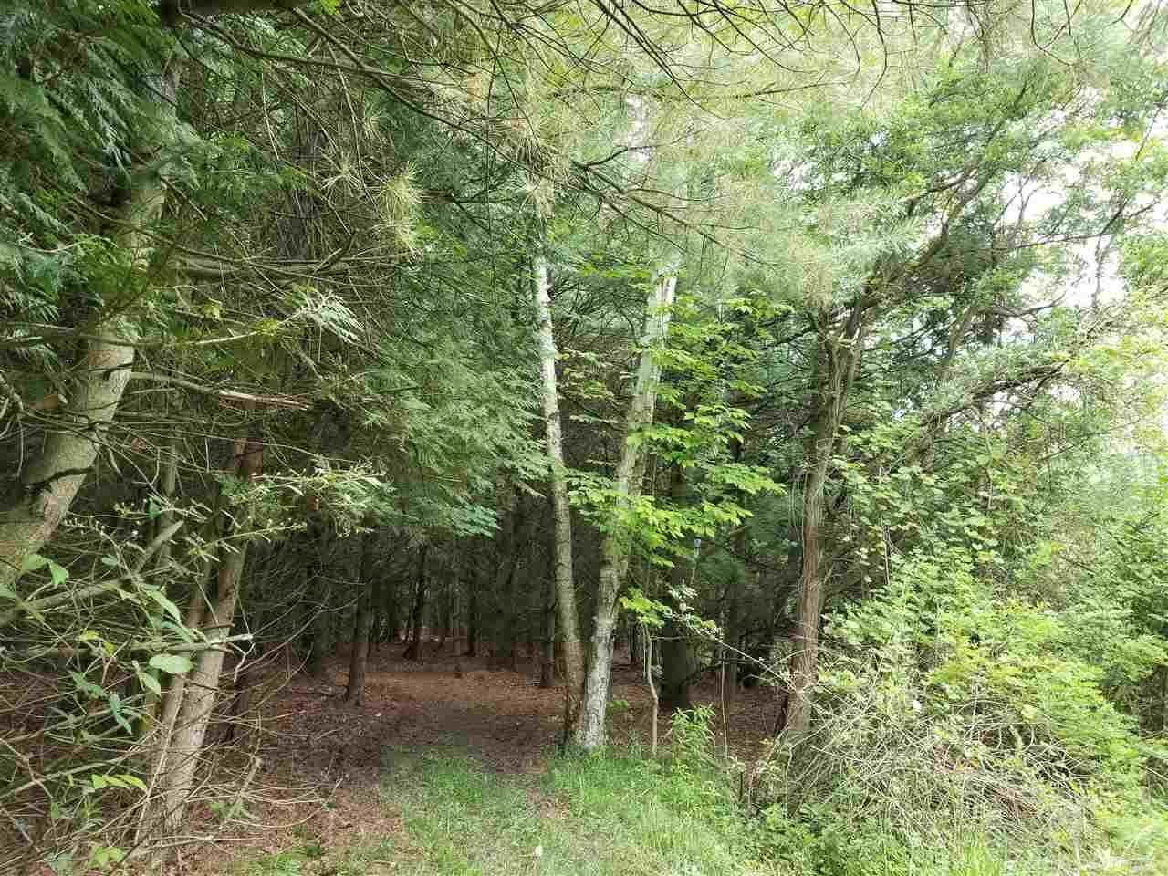2320 South Lakeshore Road Applegate, MI 48401 - Photo 45 of 45