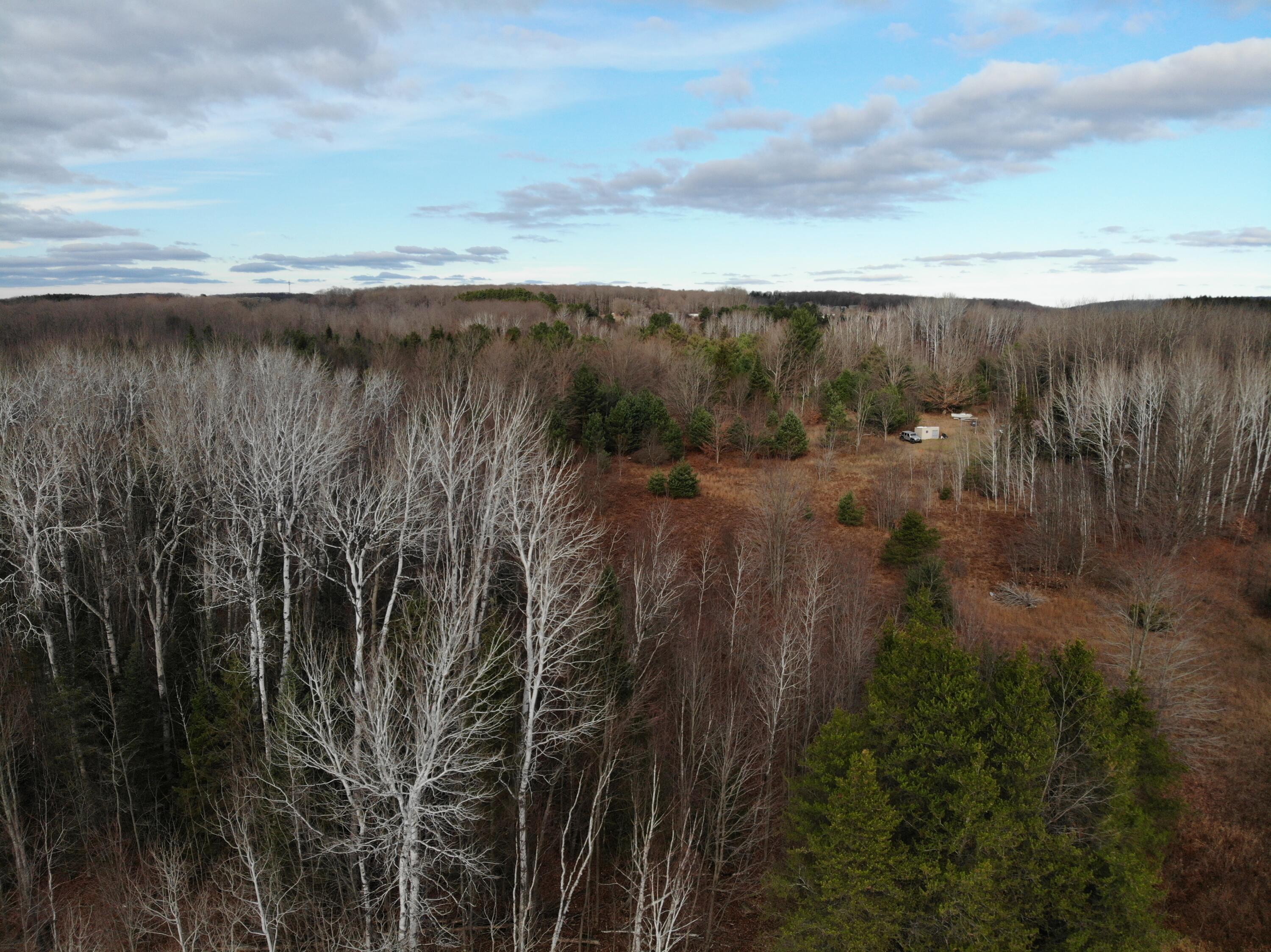 9502 Mission Road Alanson, MI 49706 - Photo 39 of 48 Gallery Image 39