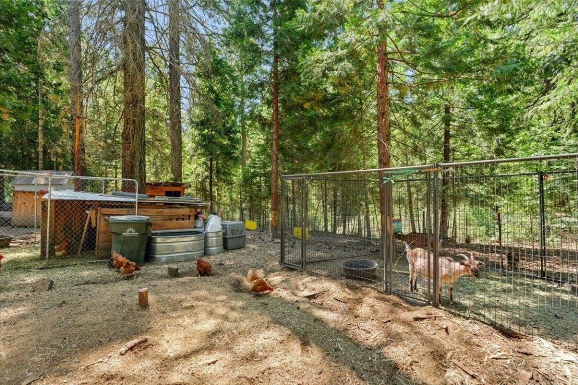 2209 Davis Place Road Mount Shasta, CA 96067 - Photo 19 of 29 Gallery Image 19