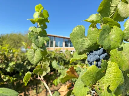 $211,500 | 9361 Highway 290, Unit 8, Hye, TX 78635