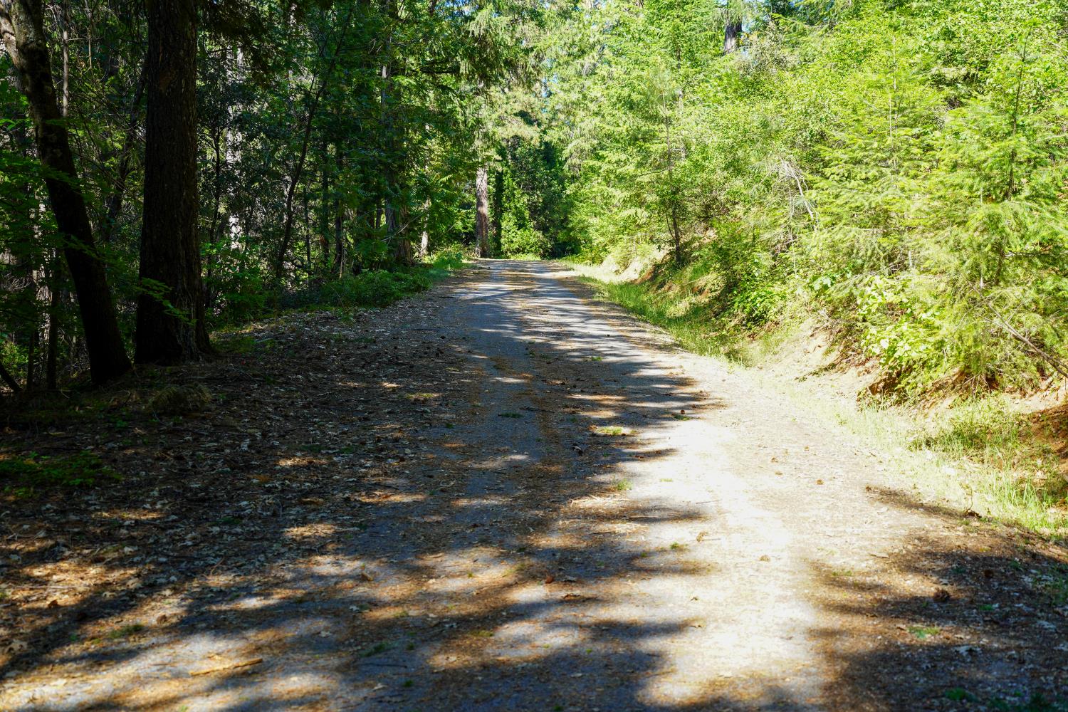 30220 Magra Road Gold Run, CA 95717 - Photo 38 of 51