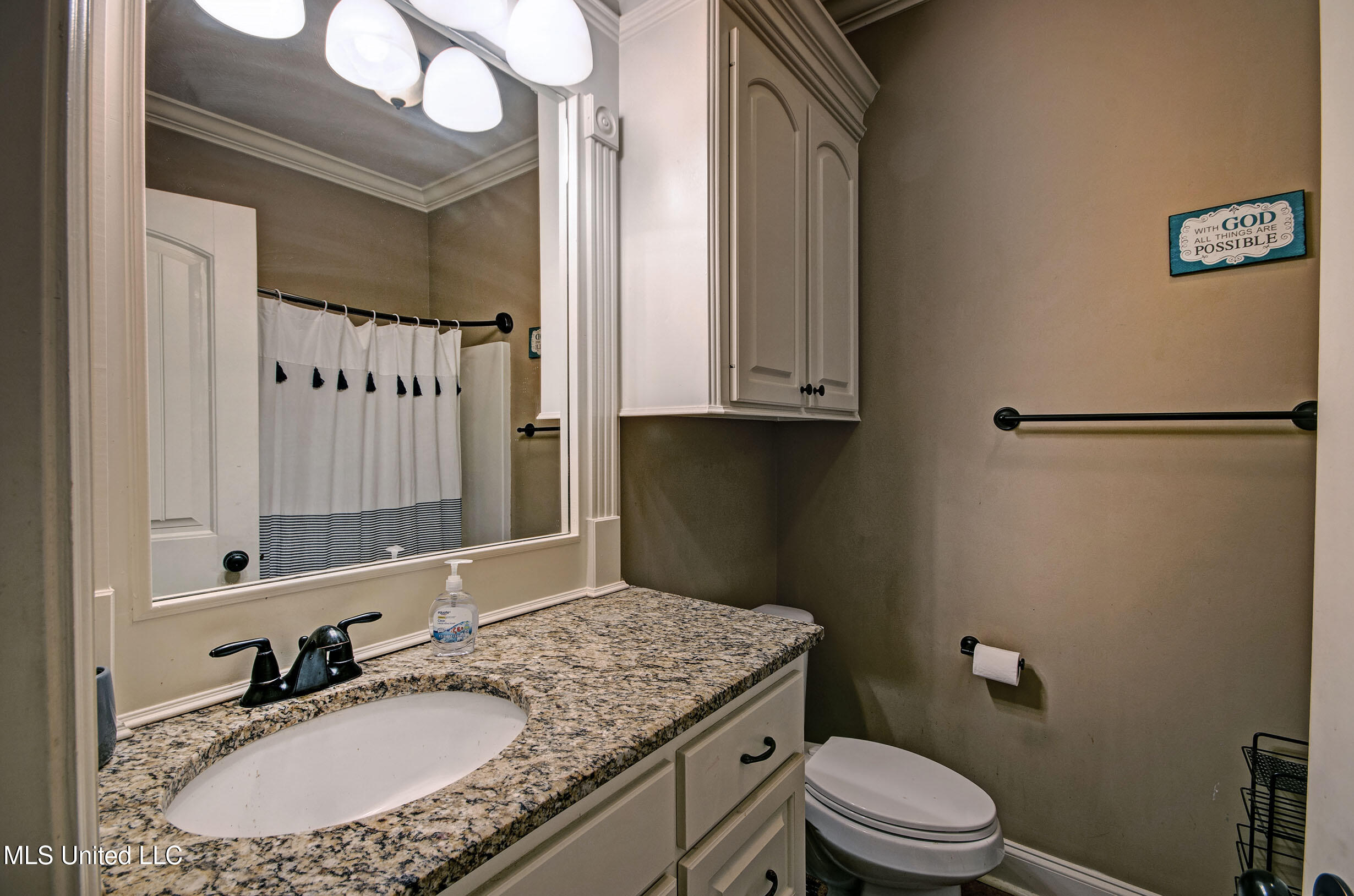 217 StoneBridge Boulevard Brandon, MS 39042 - Photo 17 of 21 IMGP7401_2_3