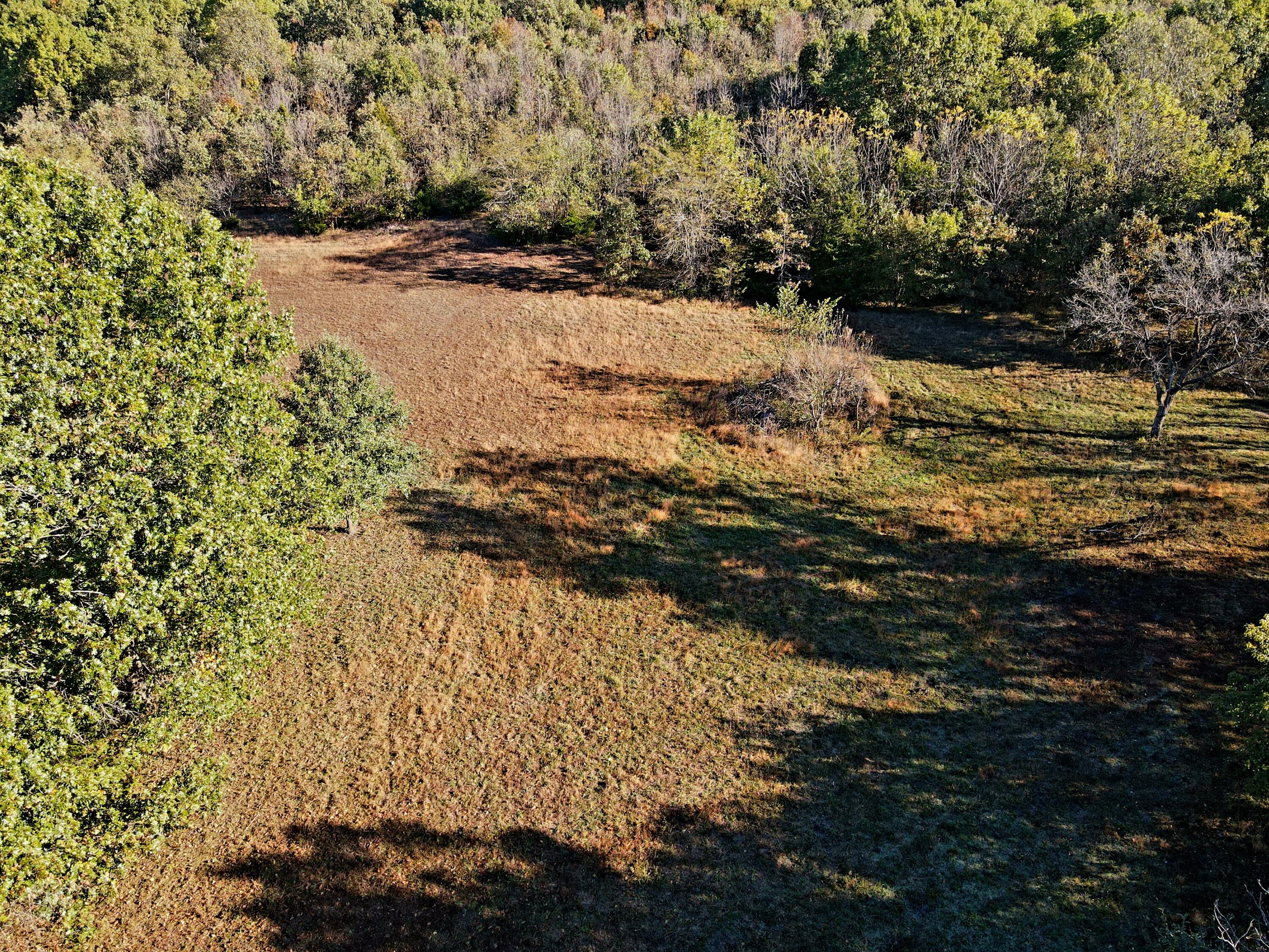 3121 South 25th Road Humansville, MO 65674 - Photo 28 of 34 dji_fly_20251022_093040_1_1761144365093_