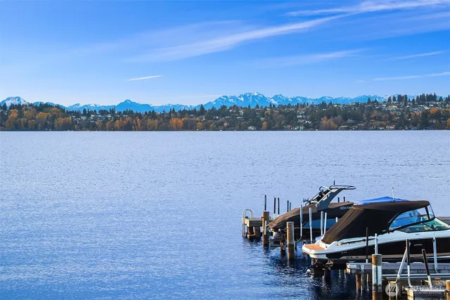 a view of a lake with a mountain in the background