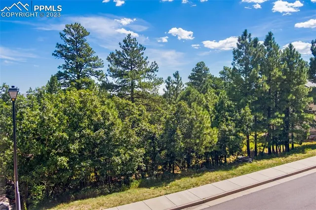a view of a yard and potted plants