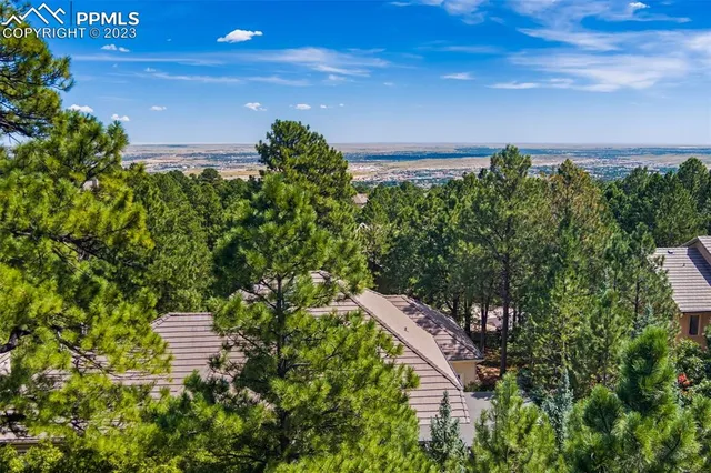 a view of a plants with a flower in a garden