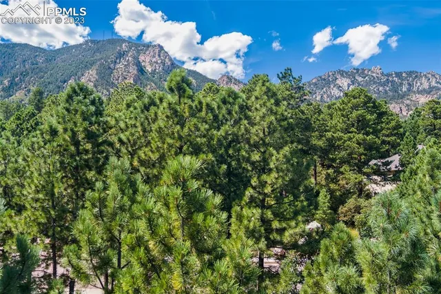 a view of a flower in a garden