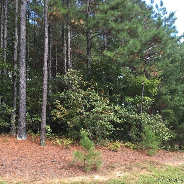 0 Emmaus Church Road Quinton, VA 23141 - Photo 1 of 2 Gallery Image 1