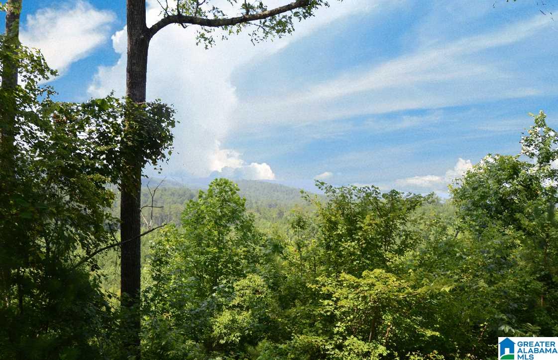 10098 County Road 55, Unit 24 ACRES Fruithurst, AL 36262 - Photo 17 of 27