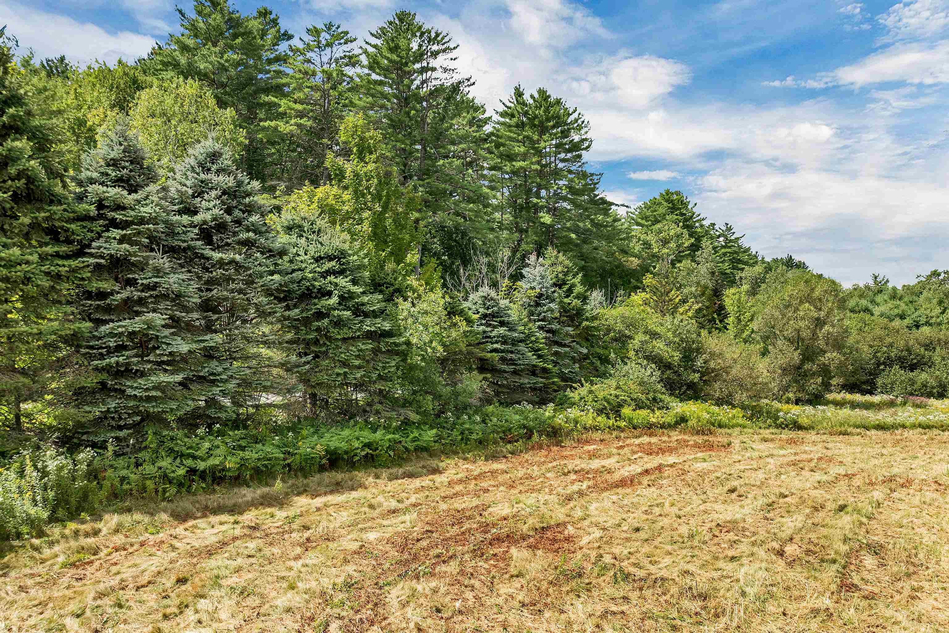 0 Shaker Road Northfield, NH 03276 - Photo 12 of 18 Gallery Image 12