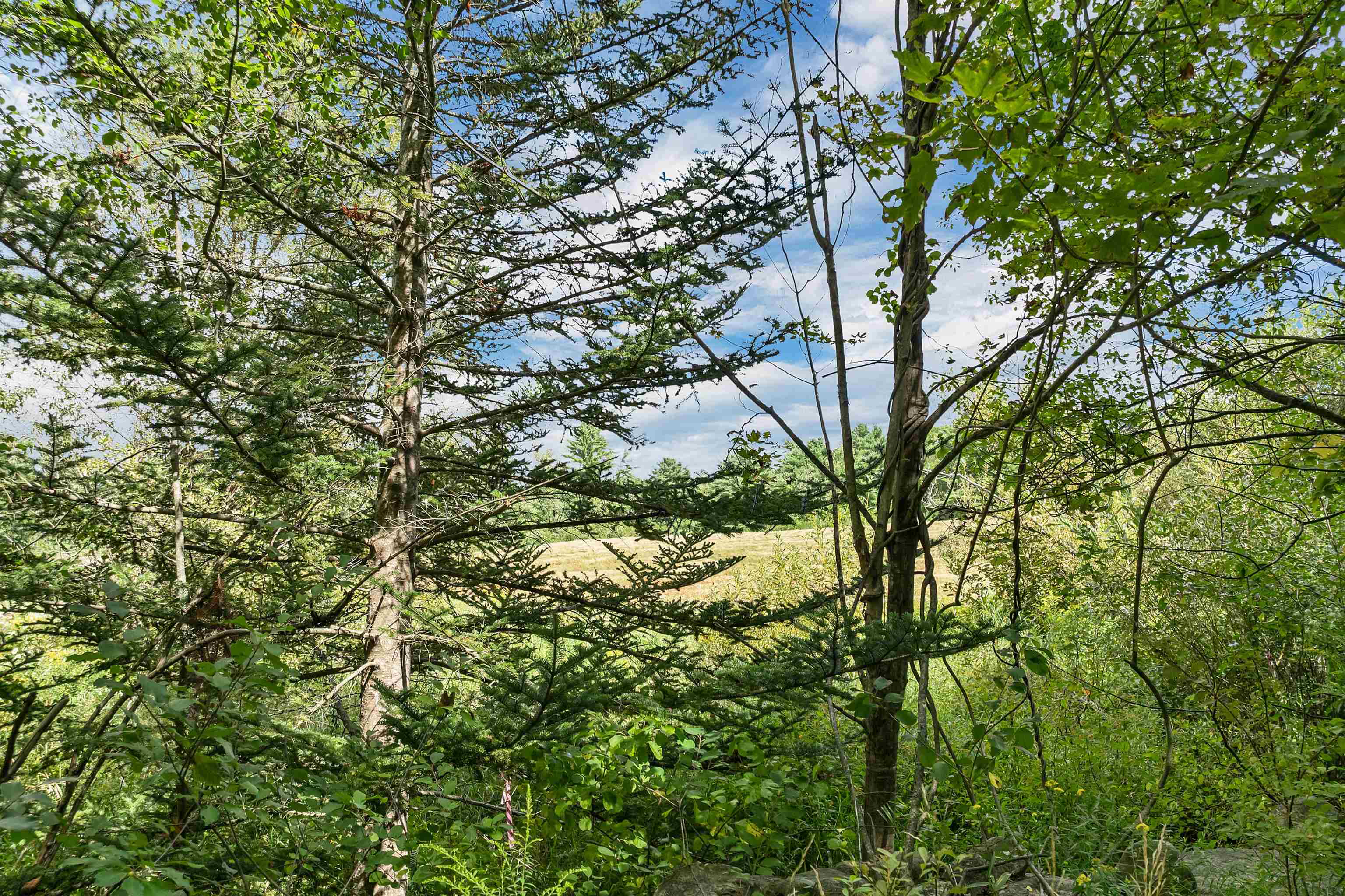 0 Shaker Road Northfield, NH 03276 - Photo 18 of 18 Gallery Image 18