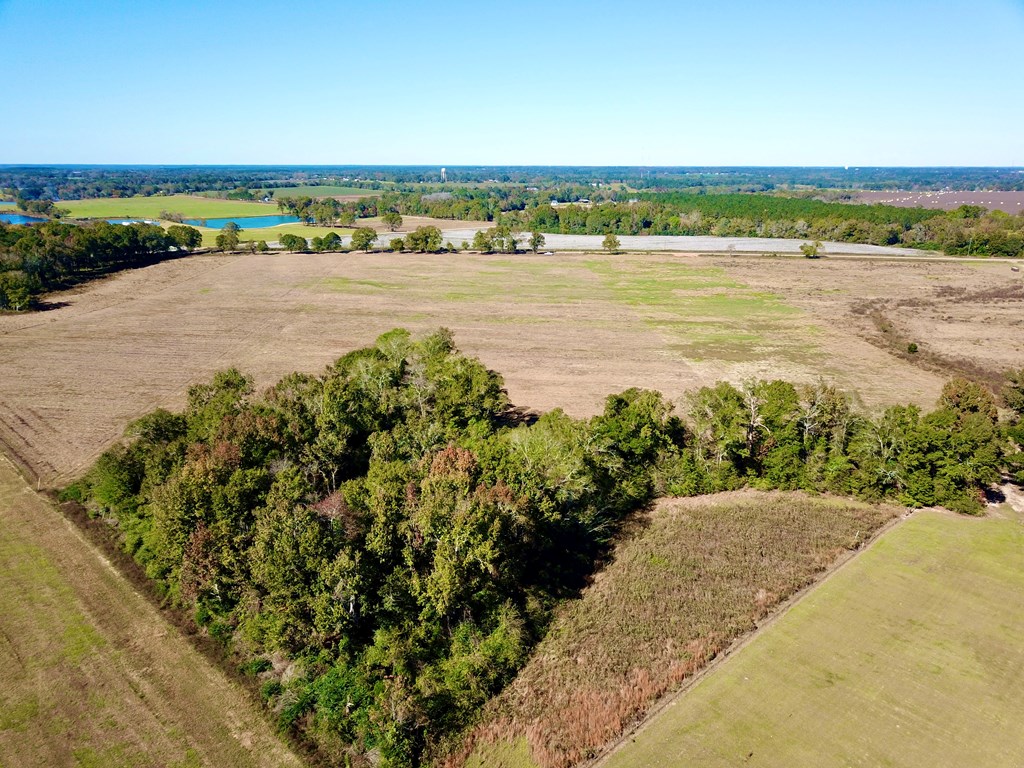 92 County Road 92 Slocomb, AL 36375 - Photo 6 of 8