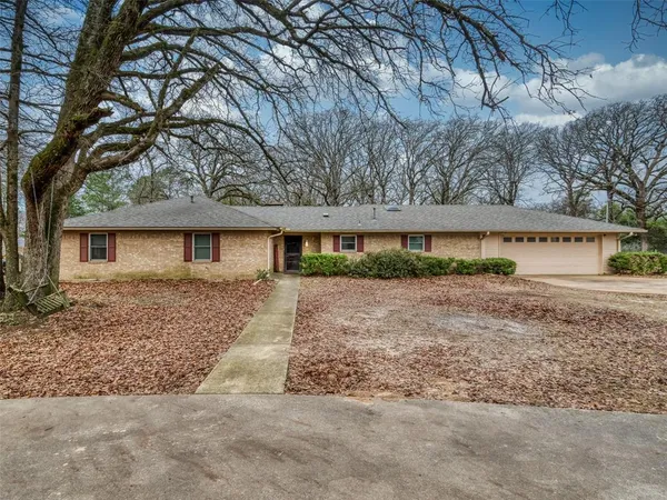 a view of a yard with large tree