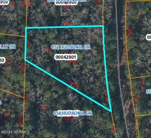 $9,000 | 852 Hudsonia Drive, Vass, NC 28394