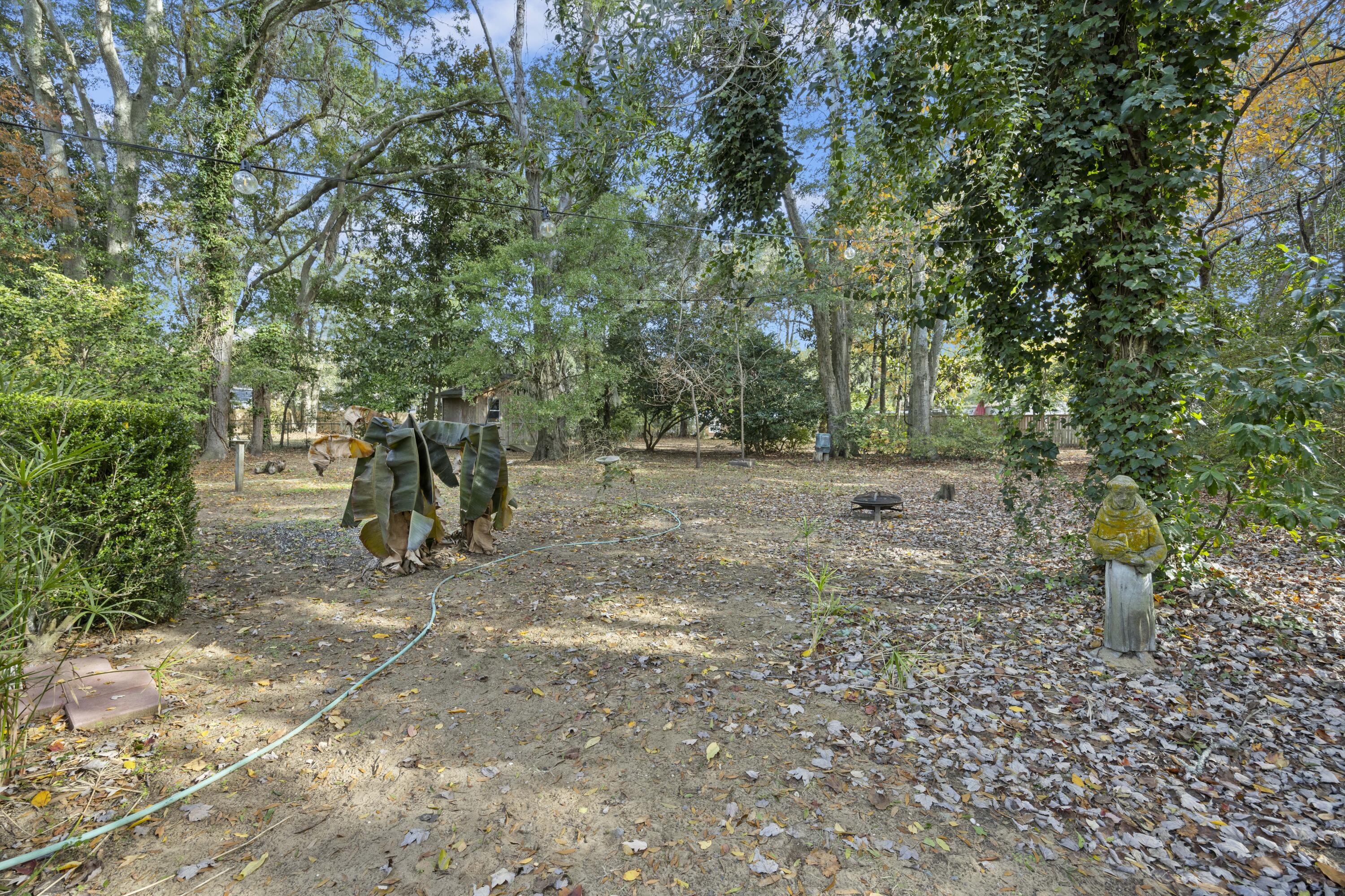 683 Edmonds Drive Charleston, SC 29412 - Photo 21 of 34 243A2074