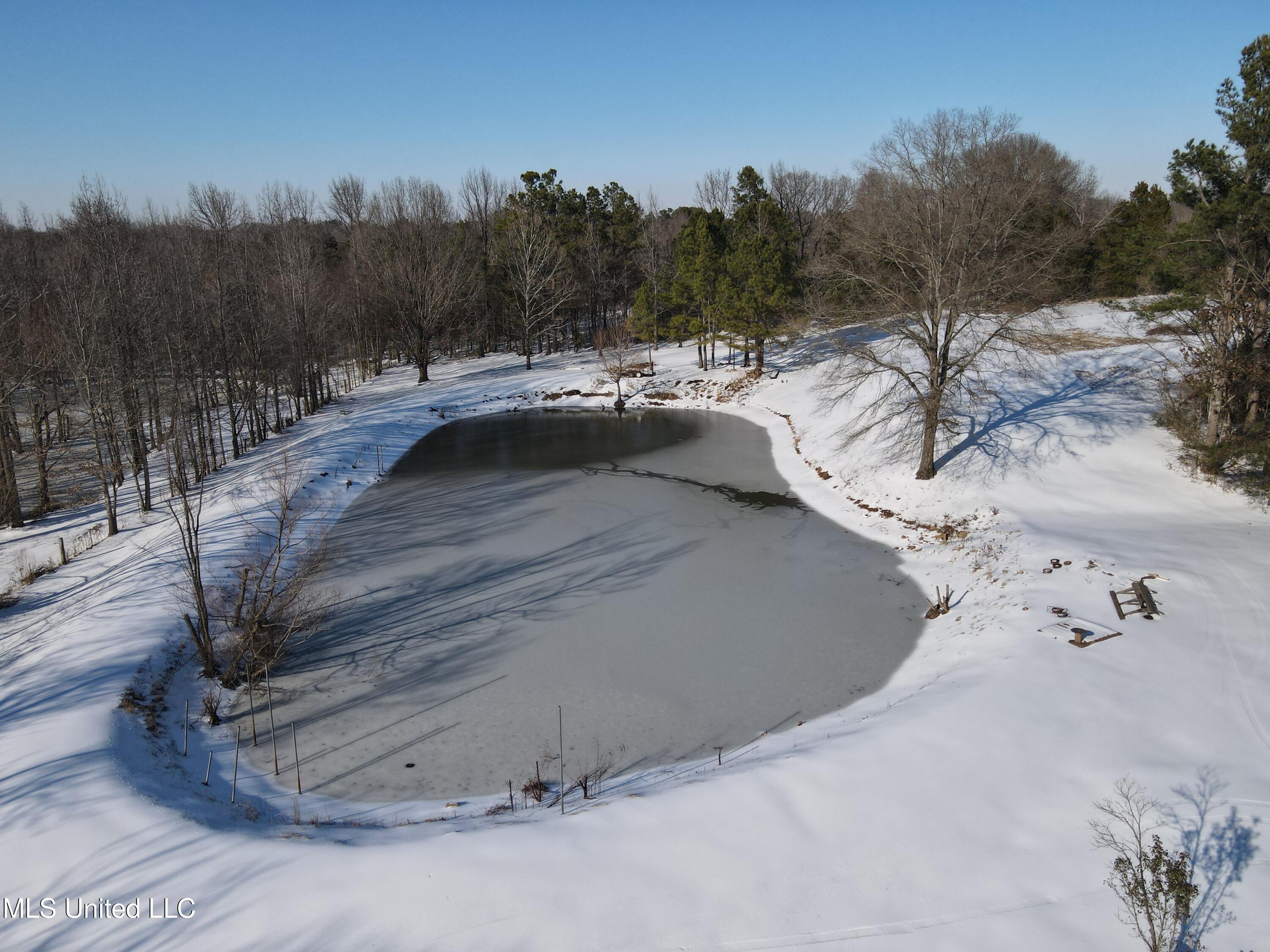 9338 East Broadway Road Olive Branch, MS 38654 - Photo 4 of 14 1000089163