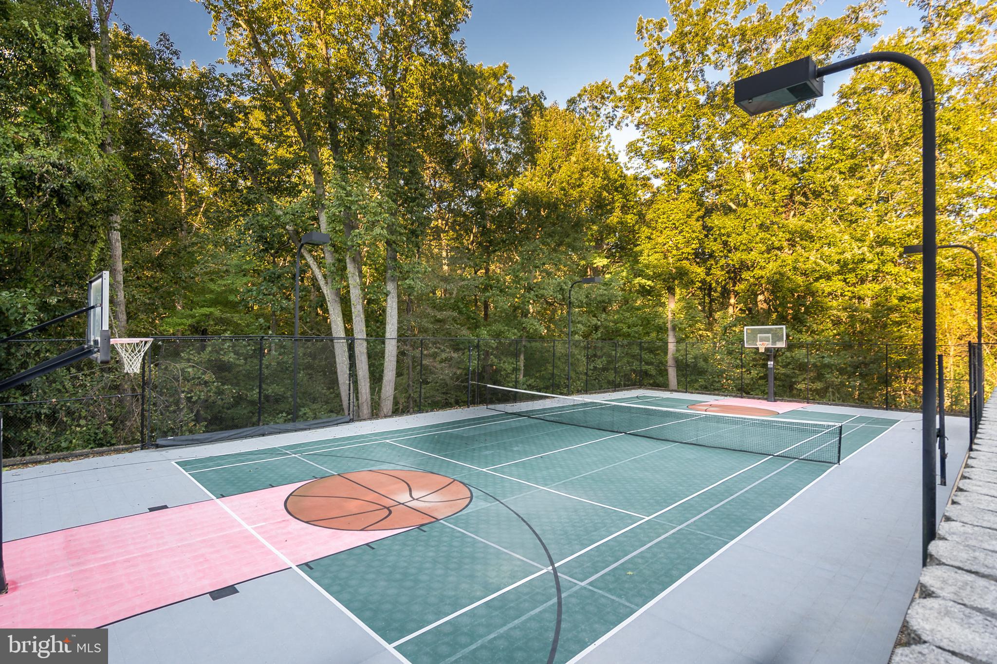 9333 Belle Terre Way Potomac, MD 20854 - Photo 102 of 111 Basketball | Tennis Court
