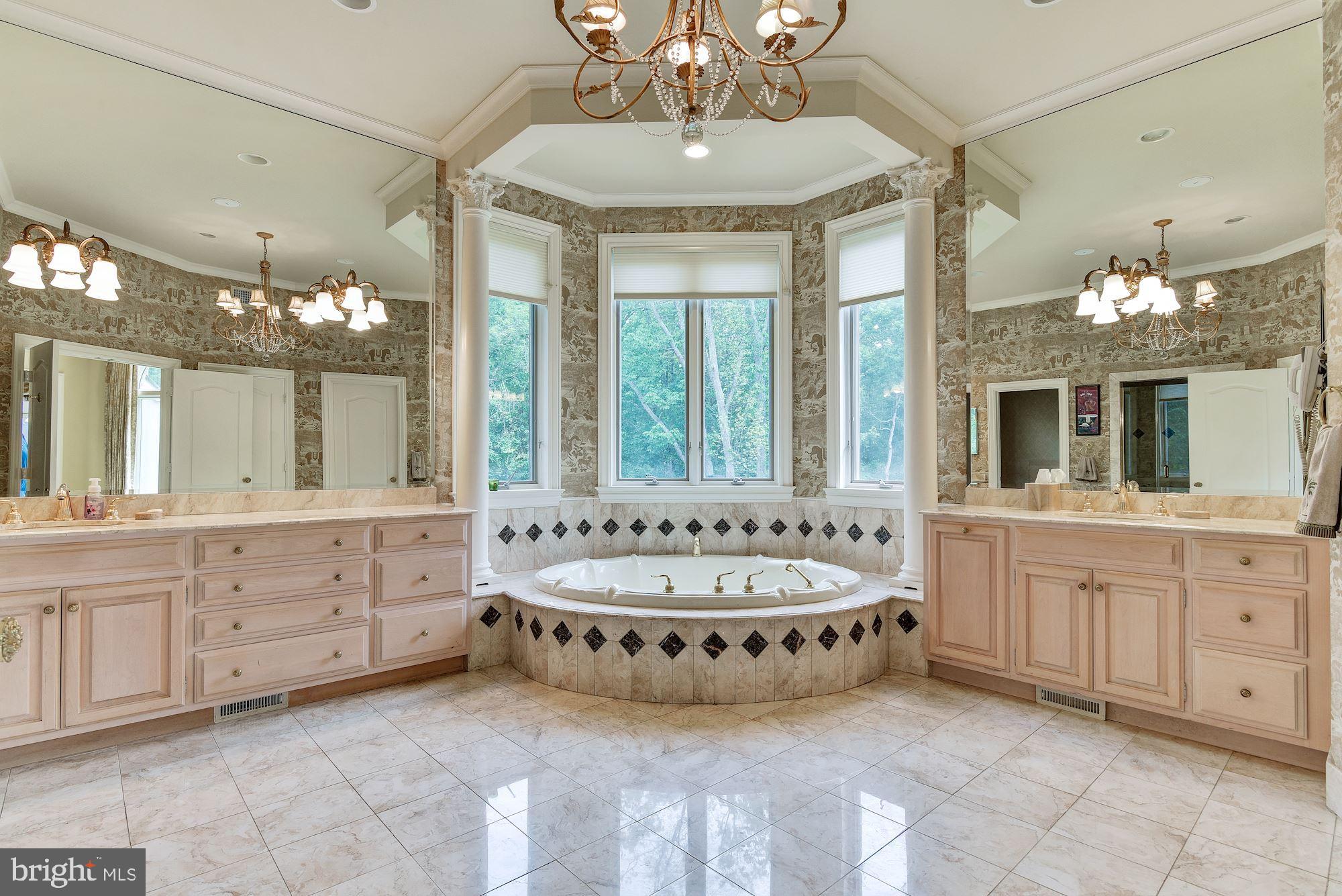 9333 Belle Terre Way Potomac, MD 20854 - Photo 42 of 111 Master Bath - Double Vanity - Tub - Stand Up Showe