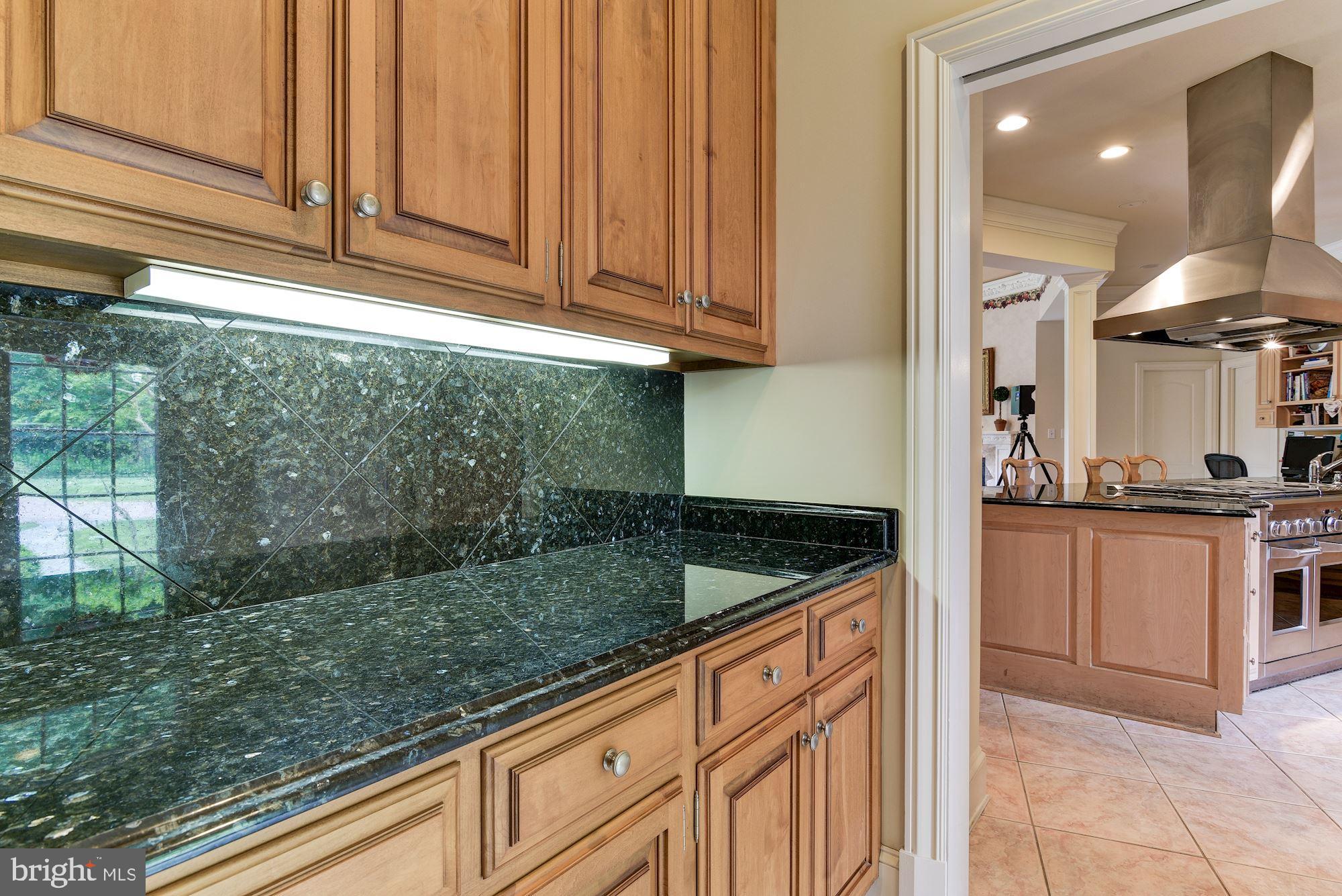 9333 Belle Terre Way Potomac, MD 20854 - Photo 60 of 111 Dual Wet Bar | Butler Pantry