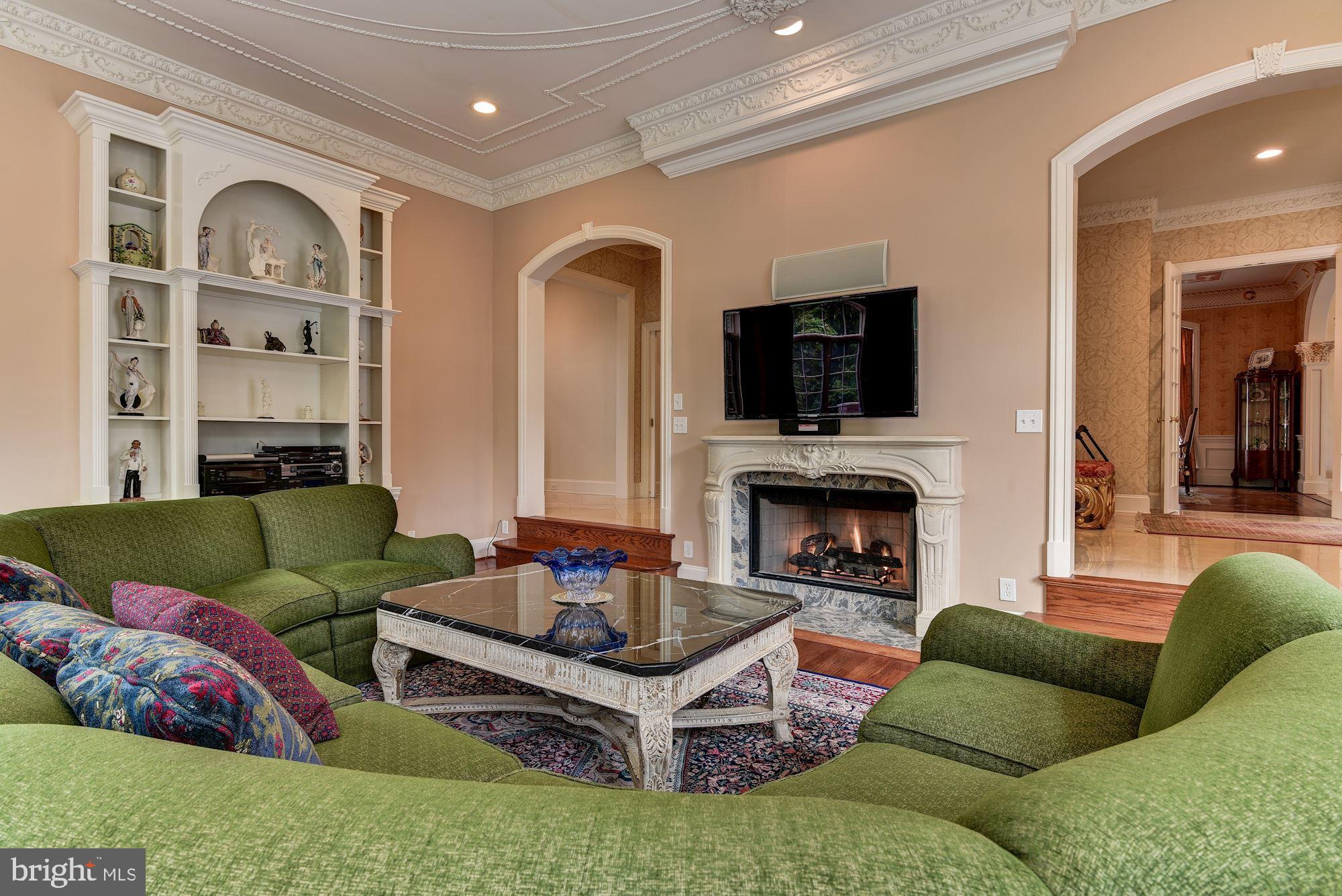 9333 Belle Terre Way Potomac, MD 20854 - Photo 61 of 111 Family Room w/ FP