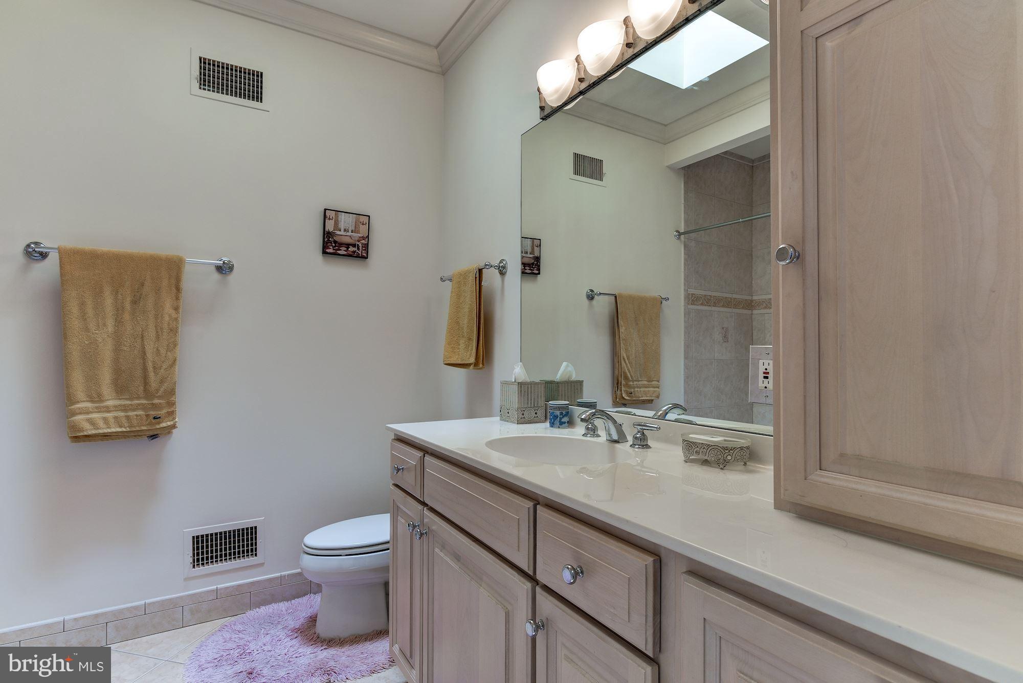 9333 Belle Terre Way Potomac, MD 20854 - Photo 90 of 111 Full Bath