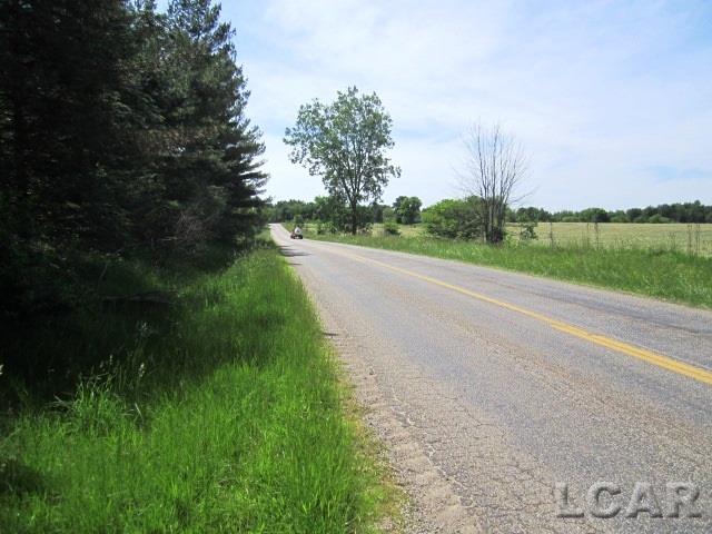 14751 Prattville Road Hudson, MI 49247 - Photo 6 of 6