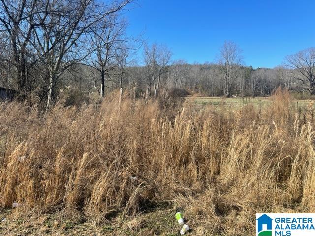 600 Valley Drive Attalla, AL 35954 - Photo 9 of 27