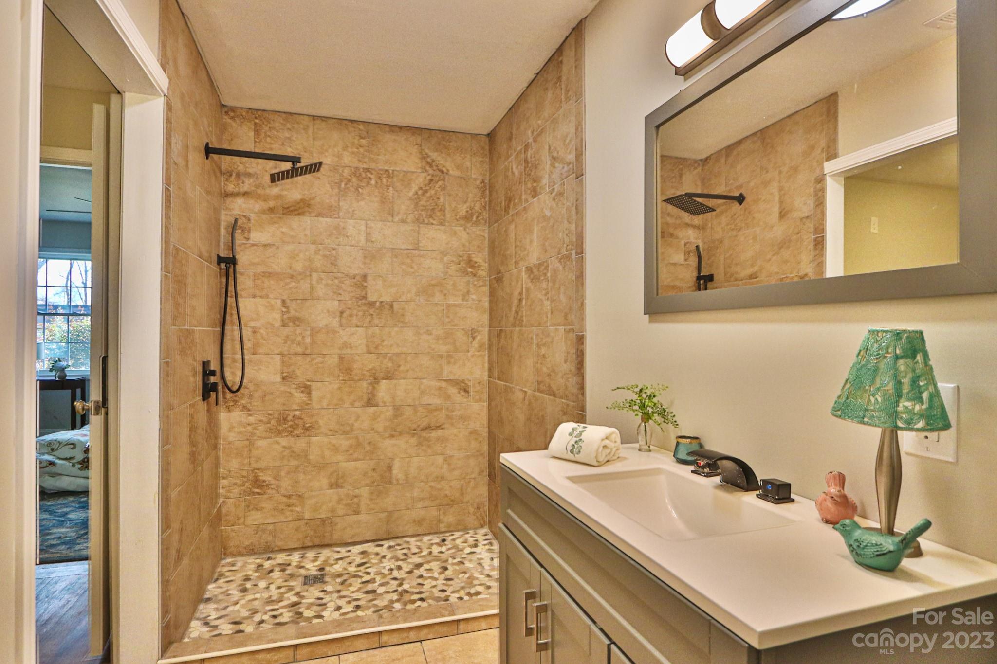 219 Harris Avenue Elkin, NC 28621 - Photo 16 of 48 a bathroom with a sink a mirror and a shower