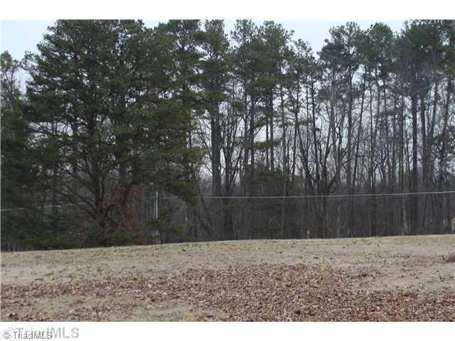 1933 Eldora Road Ararat, NC 27007 - Photo 4 of 9 Land/Lot. Back of Property