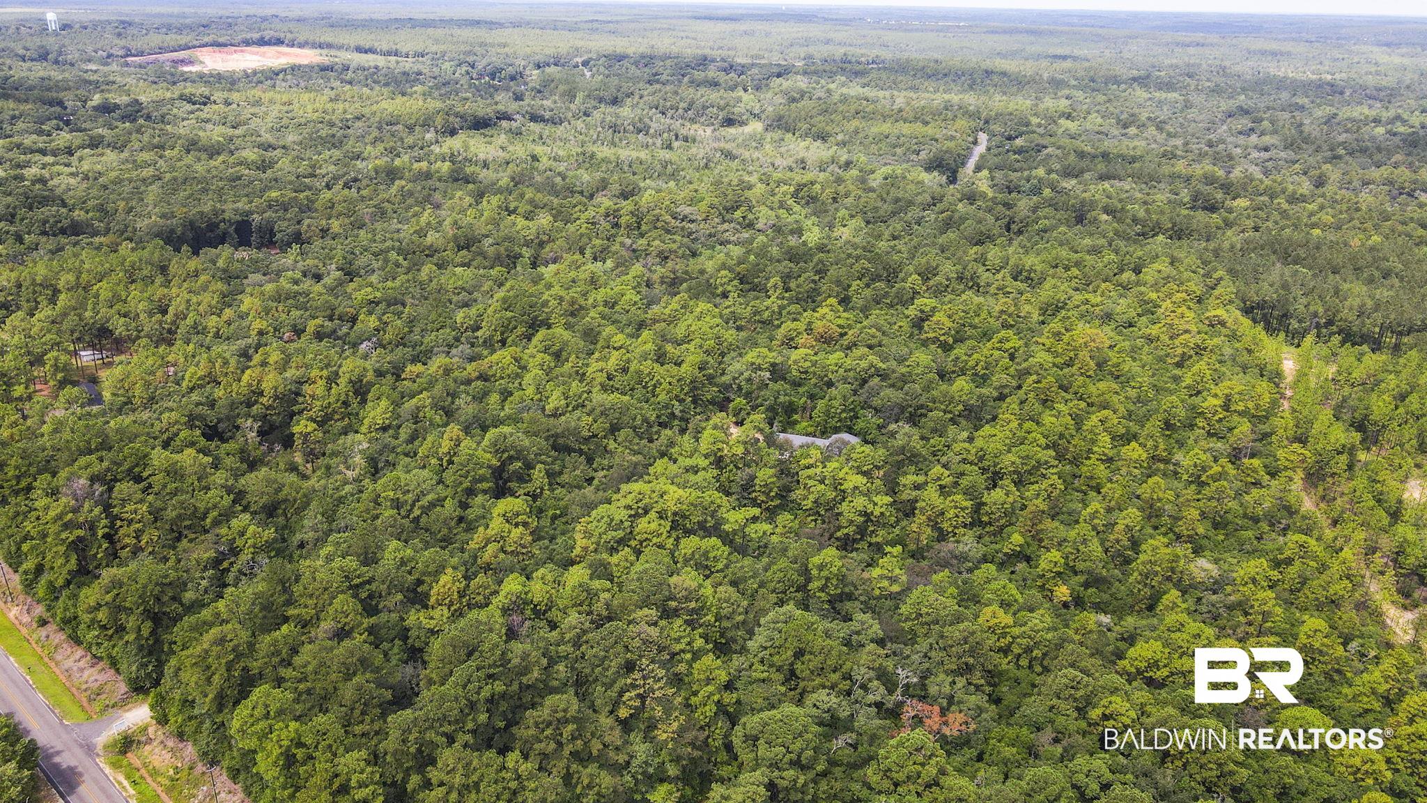 0 Mt.Pilgrim Road Eight Mile, AL 36613 - Photo 9 of 14 Aerial view