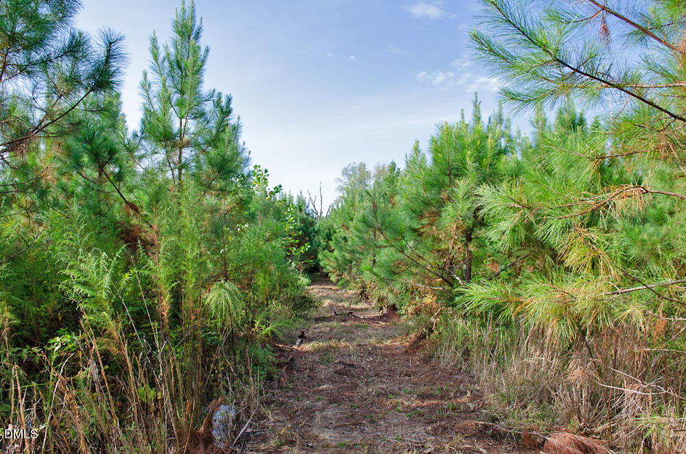 1 Sam Young Road Oxford, NC 27565 - Photo 18 of 20