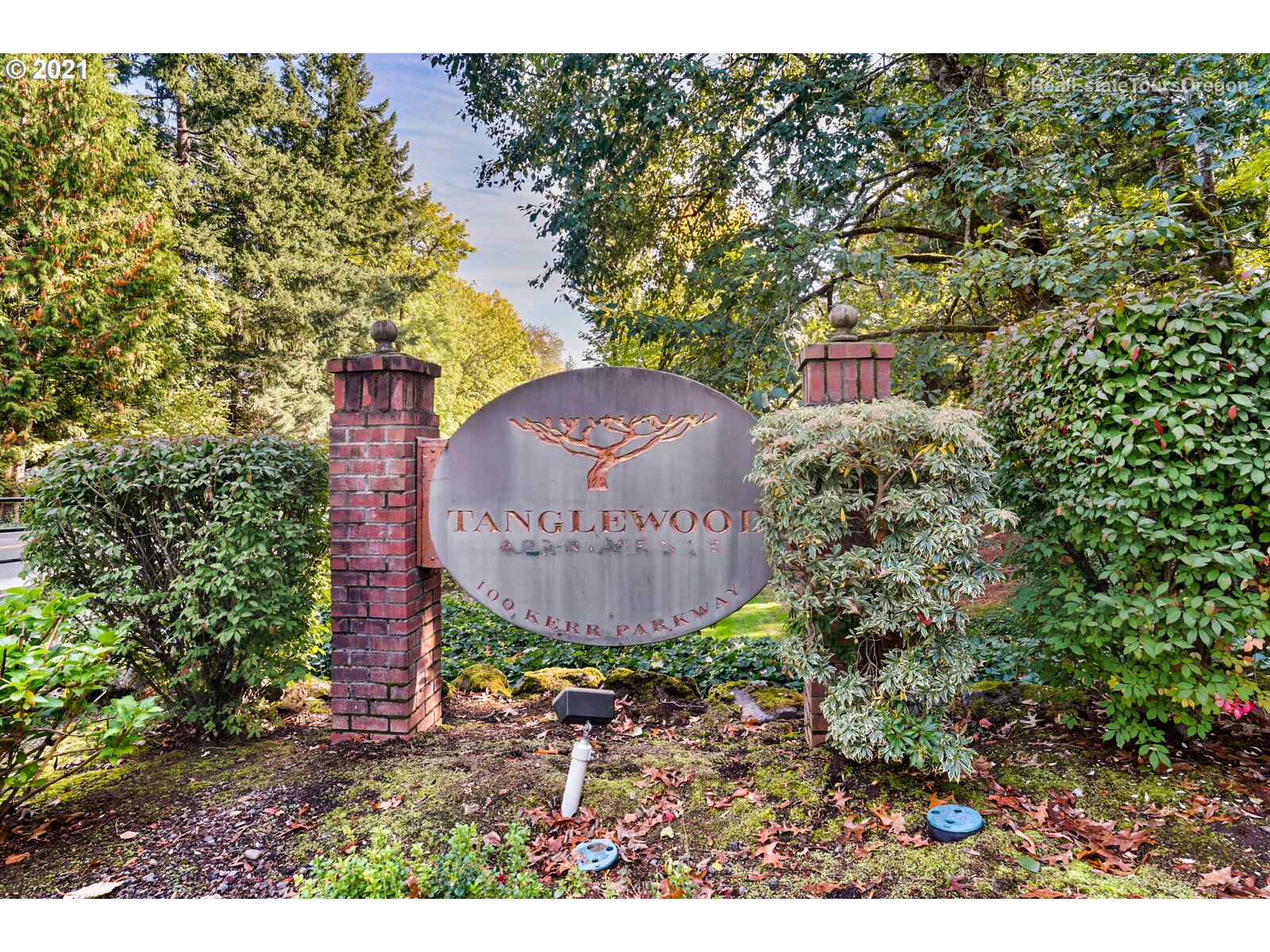 100 Kerr Parkway, Unit 19 Lake Oswego, OR 97035 - Photo 2 of 32 a view of a back yard