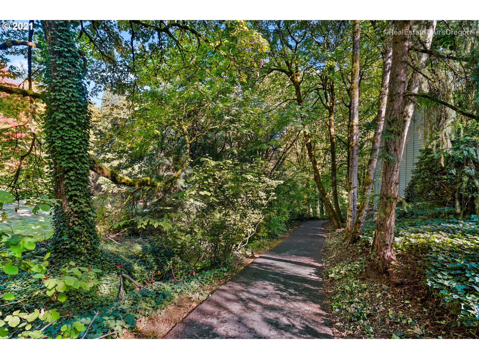 100 Kerr Parkway, Unit 19 Lake Oswego, OR 97035 - Photo 27 of 32 a view of a yard