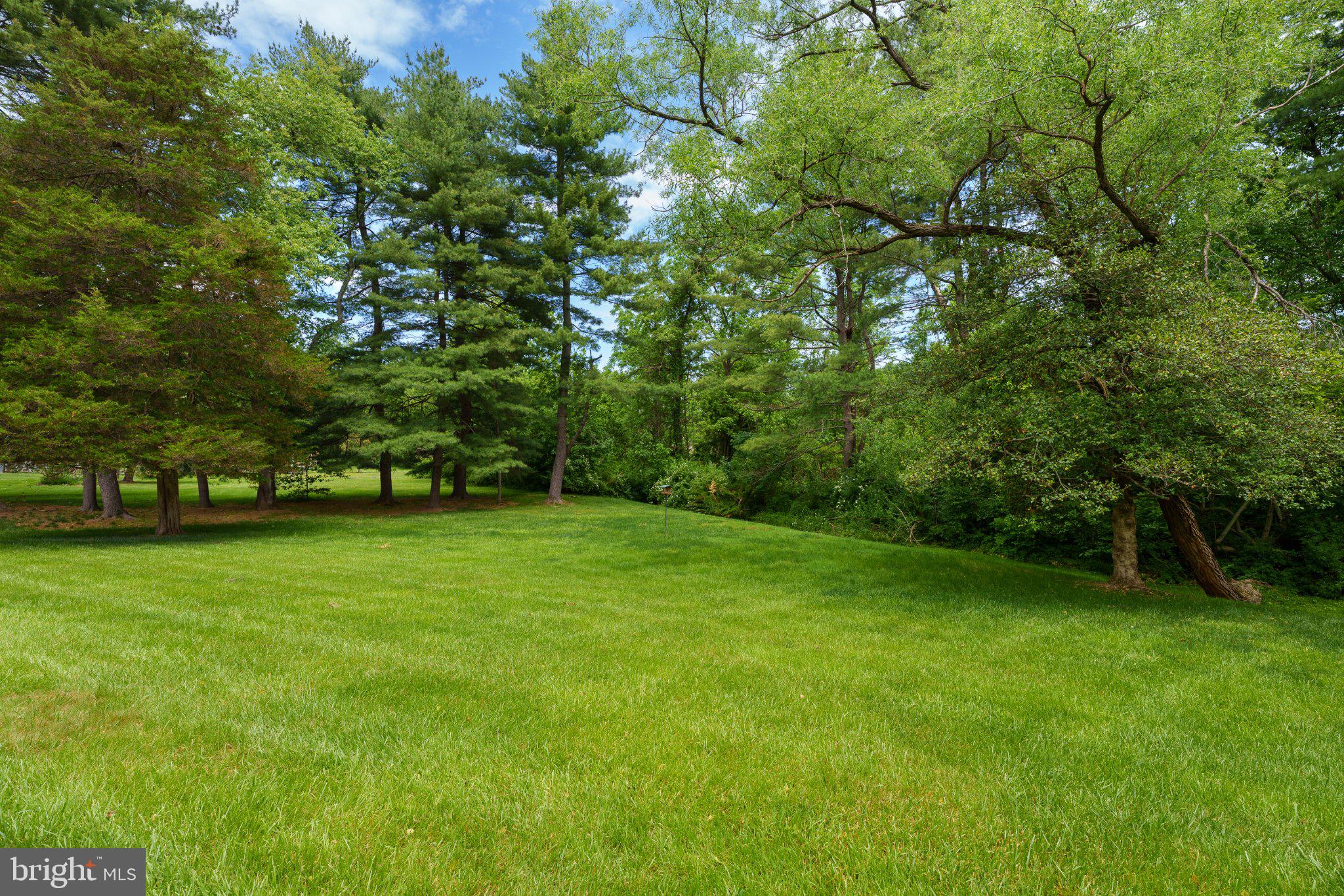 338 Gallup Road Princeton, NJ 08540 - Photo 51 of 53 a view of a field of grass and trees