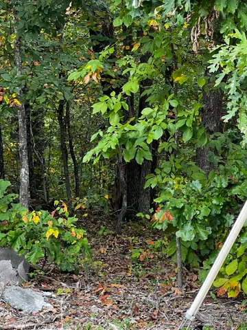 $119,000 | 0 Bork Memorial Drive, Ooltewah, TN 37363